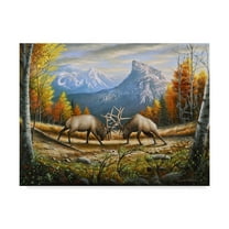 Trademark Fine Art 'The Wild Frontier' Canvas Art by Chuck Black