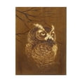 thumbnail image 1 of Trademark Fine Art 'The Witness' Canvas Art by Peggy Harris, 1 of 3