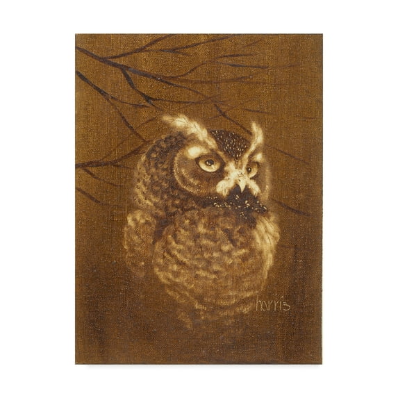 Trademark Fine Art 'The Witness' Canvas Art by Peggy Harris