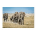 thumbnail image 1 of Trademark Fine Art 'The World's Greatest Parade' Canvas Art by Jeffrey C. Sink, 1 of 3