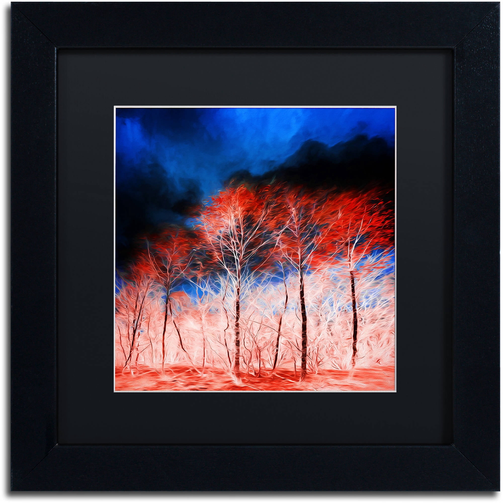 Trademark Fine Art "The Worst Is Yet To Come" Canvas Art by Philippe Sainte-Laudy Black Matte, Black Frame