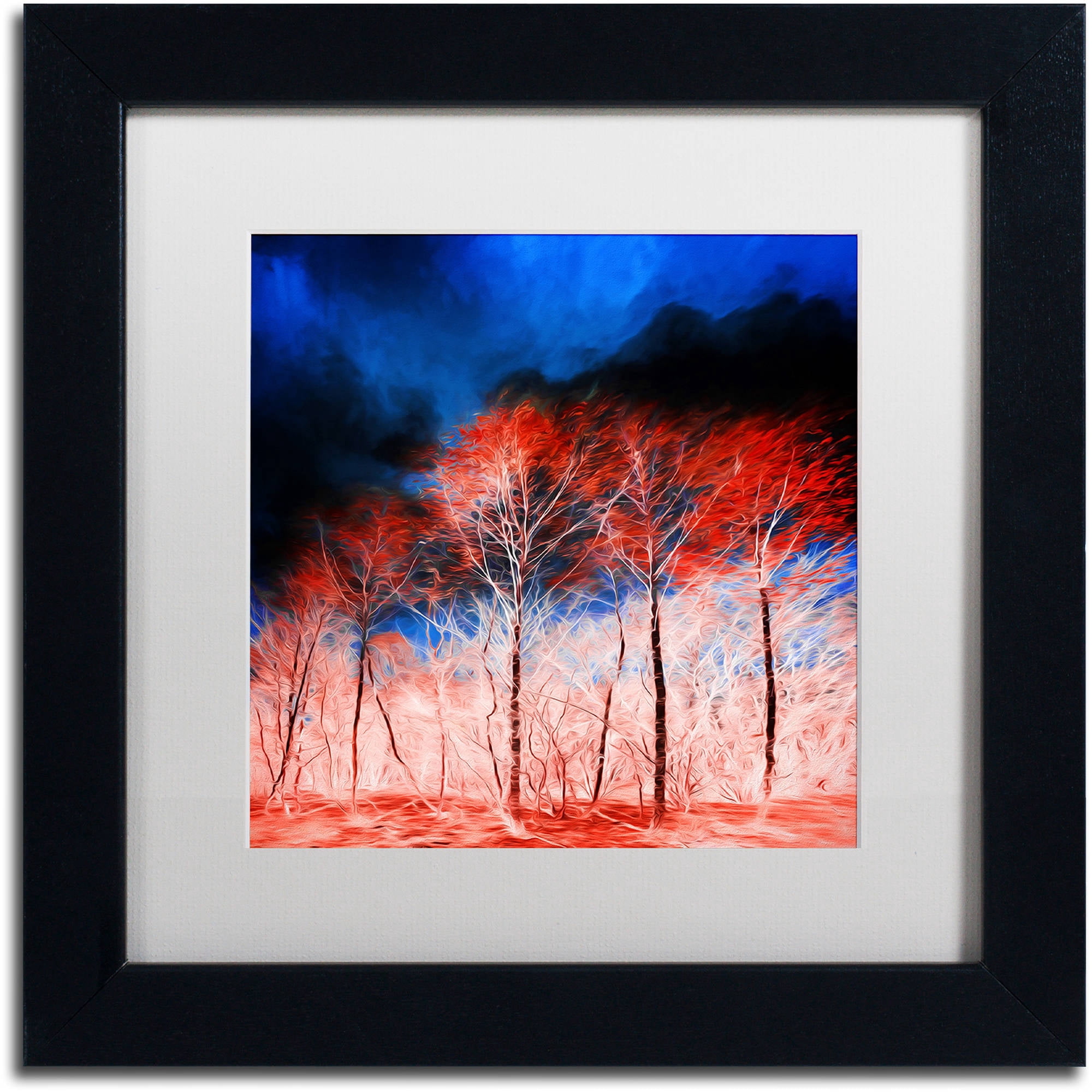 Trademark Fine Art "The Worst Is Yet To Come" Canvas Art by Philippe Sainte-Laudy White Matte, Black Frame