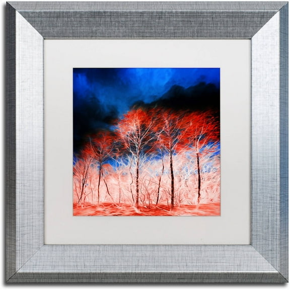 Trademark Fine Art "The Worst Is Yet To Come" Canvas Art by Philippe Sainte-Laudy White Matte, Silver Frame