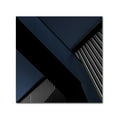 thumbnail image 1 of Trademark Fine Art 'The X Factor' Canvas Art by Gilbert Claes, 1 of 3