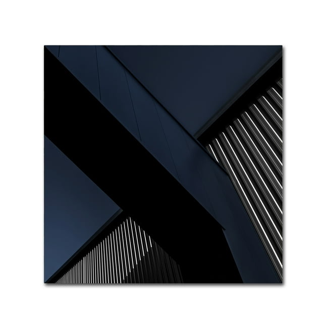 Trademark Fine Art 'The X Factor' Canvas Art by Gilbert Claes