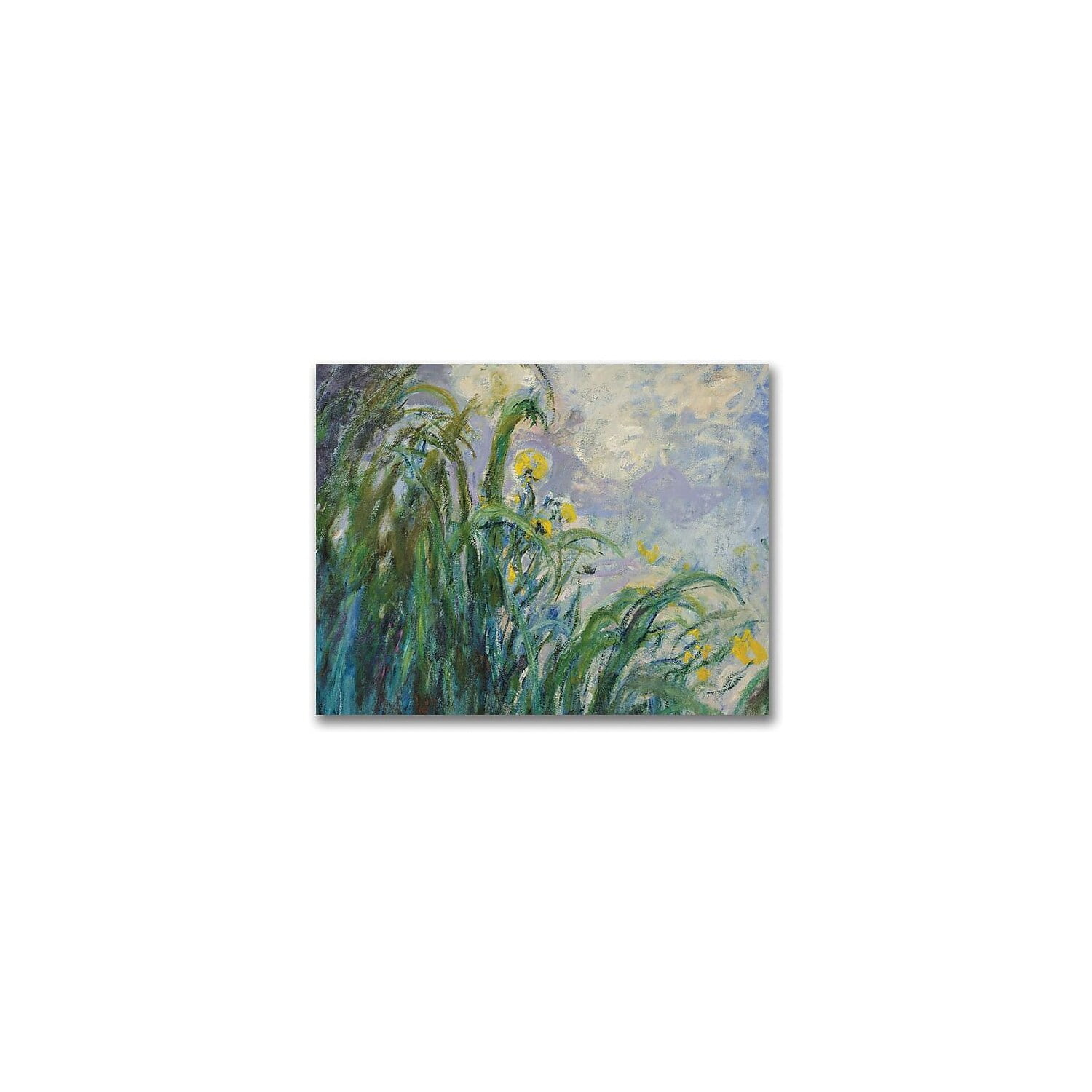 Trademark Fine Art "The Yellow Iris" Canvas Wall Art by Claude Monet