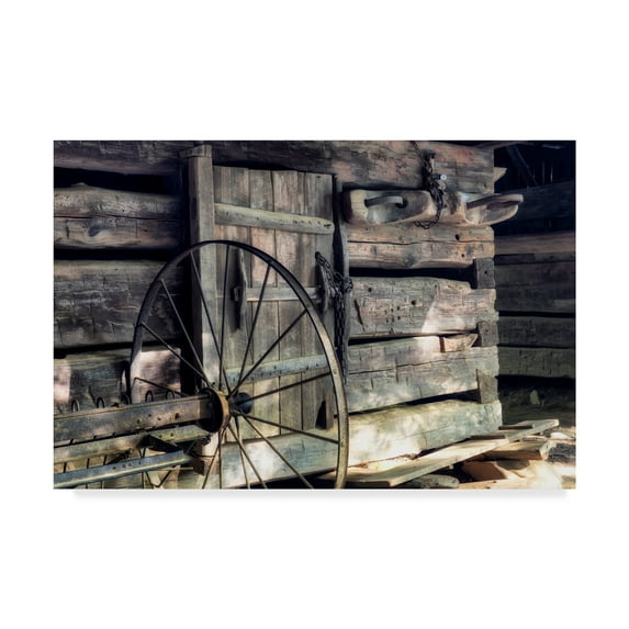 Trademark Fine Art 'The Yolk' Canvas Art by Danny Head