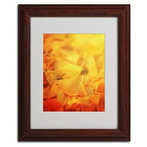 Trademark Fine Art "Thinking Bubble" Canvas Art by Philippe Sainte-Laudy, Wood Frame