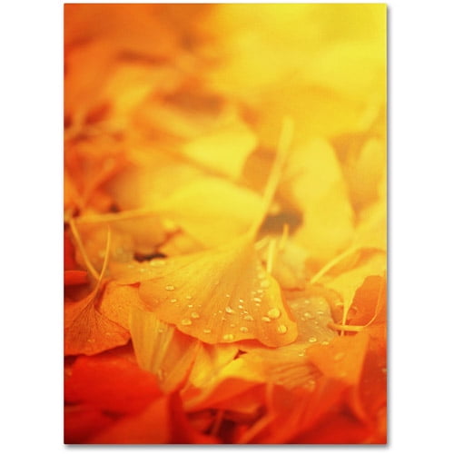 Trademark Fine Art "Thinking Bubble" Canvas Art by Philippe Sainte-Laudy