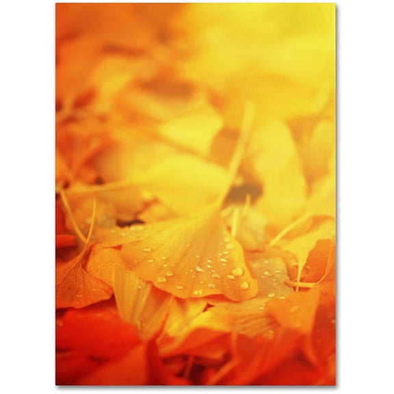 Trademark Fine Art "Thinking Bubble" Canvas Art by Philippe Sainte-Laudy