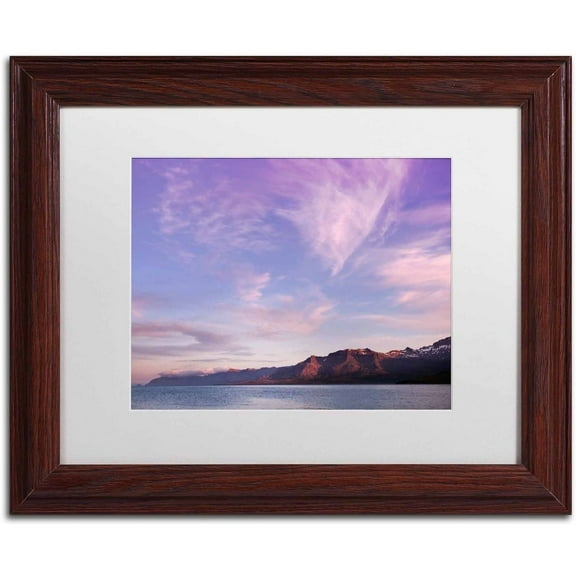 Trademark Fine Art 'This Day is Over' Canvas Art by Philippe Sainte-Laudy, White Matte, Wood Frame