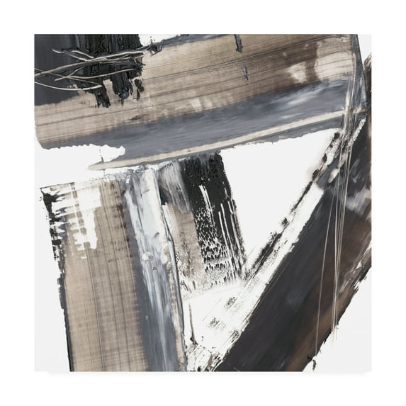 Trademark Fine Art 'This Way and That I' Canvas Art by Ethan Harper