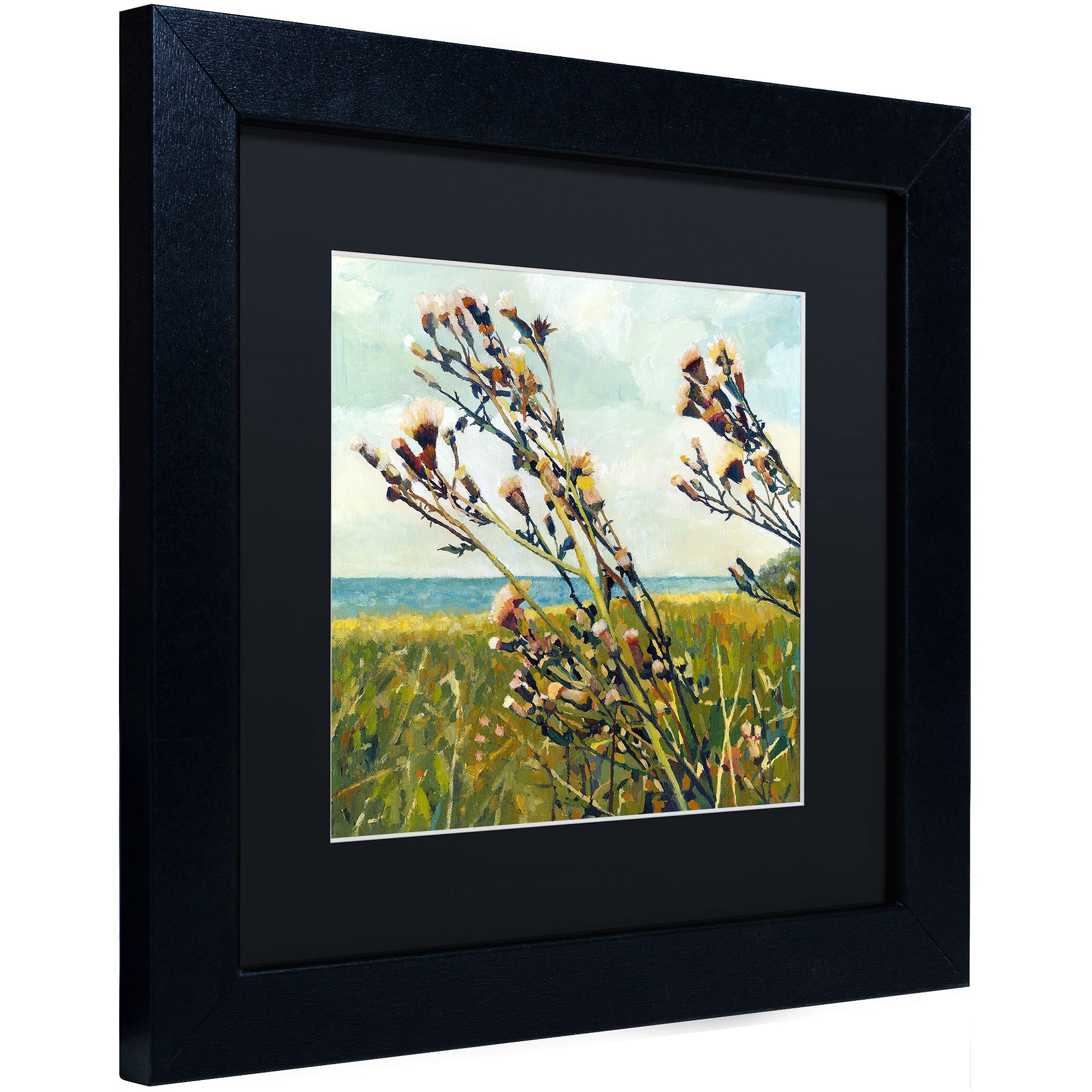 Trademark Fine Art "Thistles on the Beach" Canvas Art by Michelle Calkins, Black Matte, Black Frame