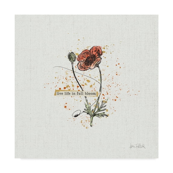 Trademark Fine Art 'Thoughtful Blooms IV' Canvas Art by Katie Pertiet