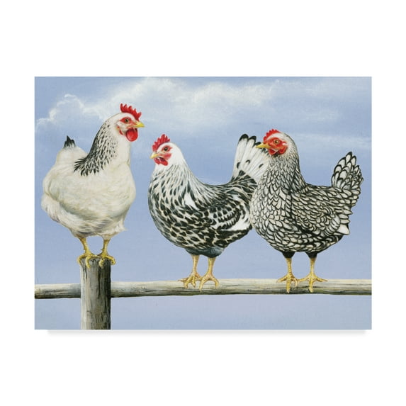 Trademark Fine Art 'Three Black & White Hens' Canvas Art by Janet Pidoux