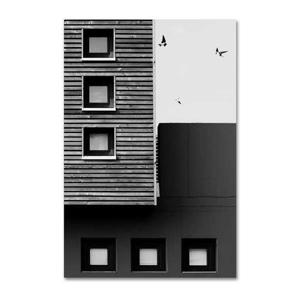 Trademark Fine Art 'Three' Canvas Art by Manu D