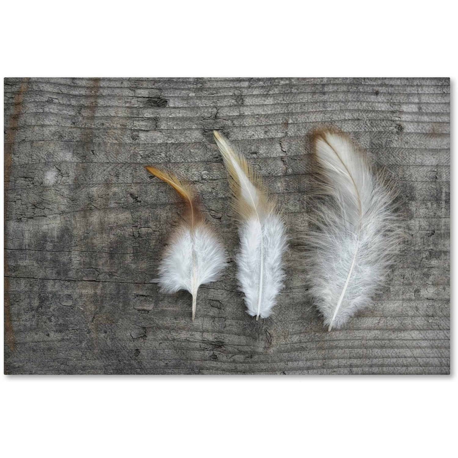 Soft White Feather Photographic Print on Canvas with Wooden Frame
