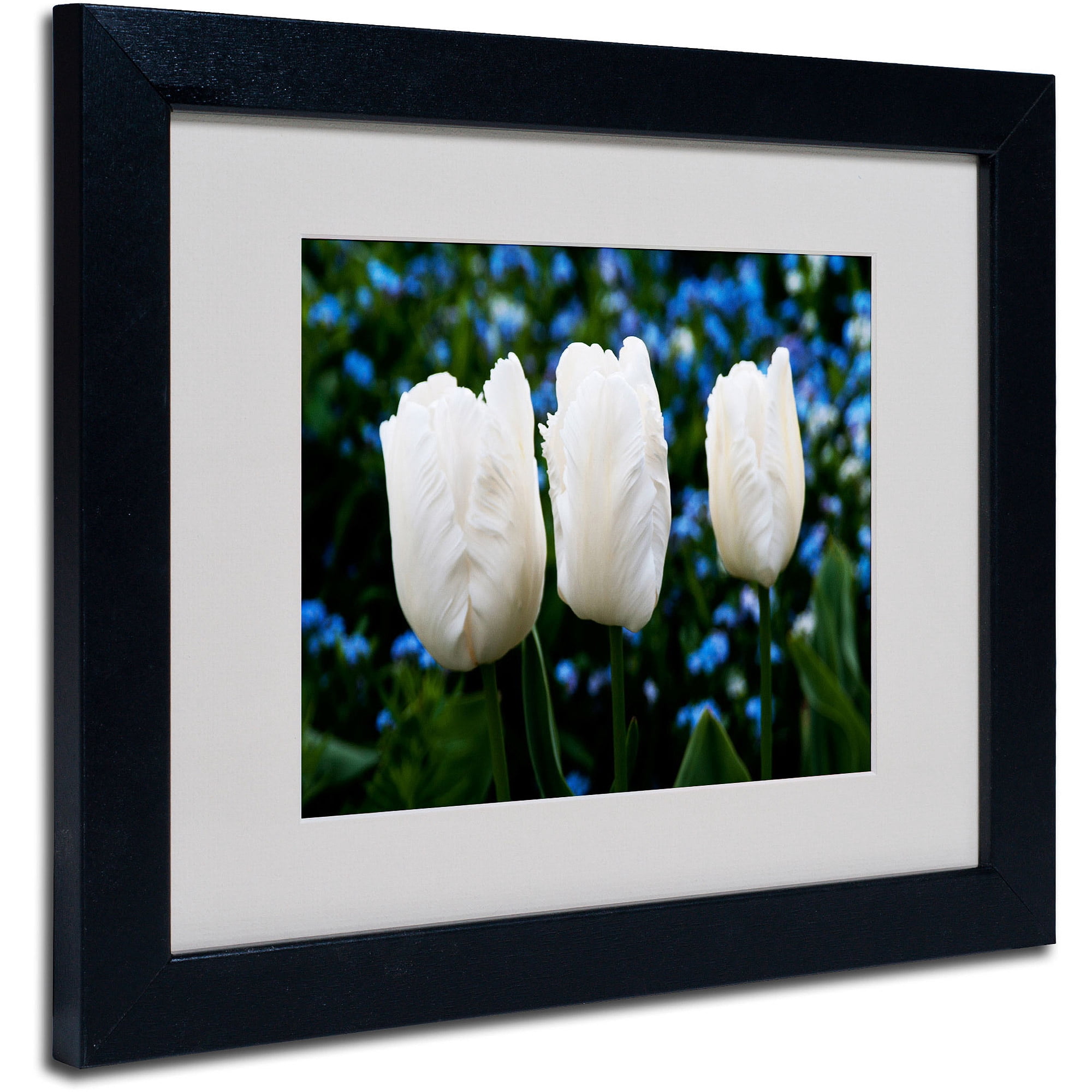 Trademark Fine Art "Three Parrot Tulips" by Kurt Shaffer, Black Frame