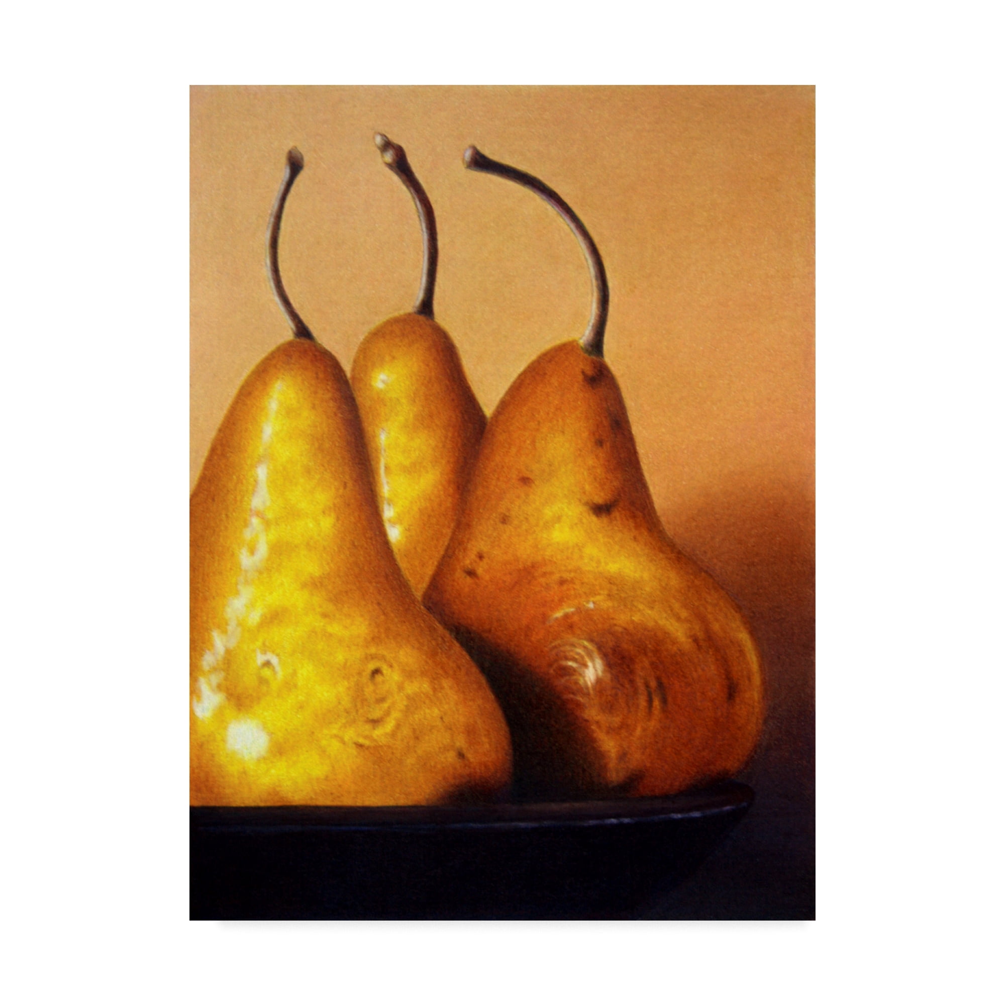 Trademark Fine Art 'Three Pears on Stonehenge' Canvas Art by Cecile Baird