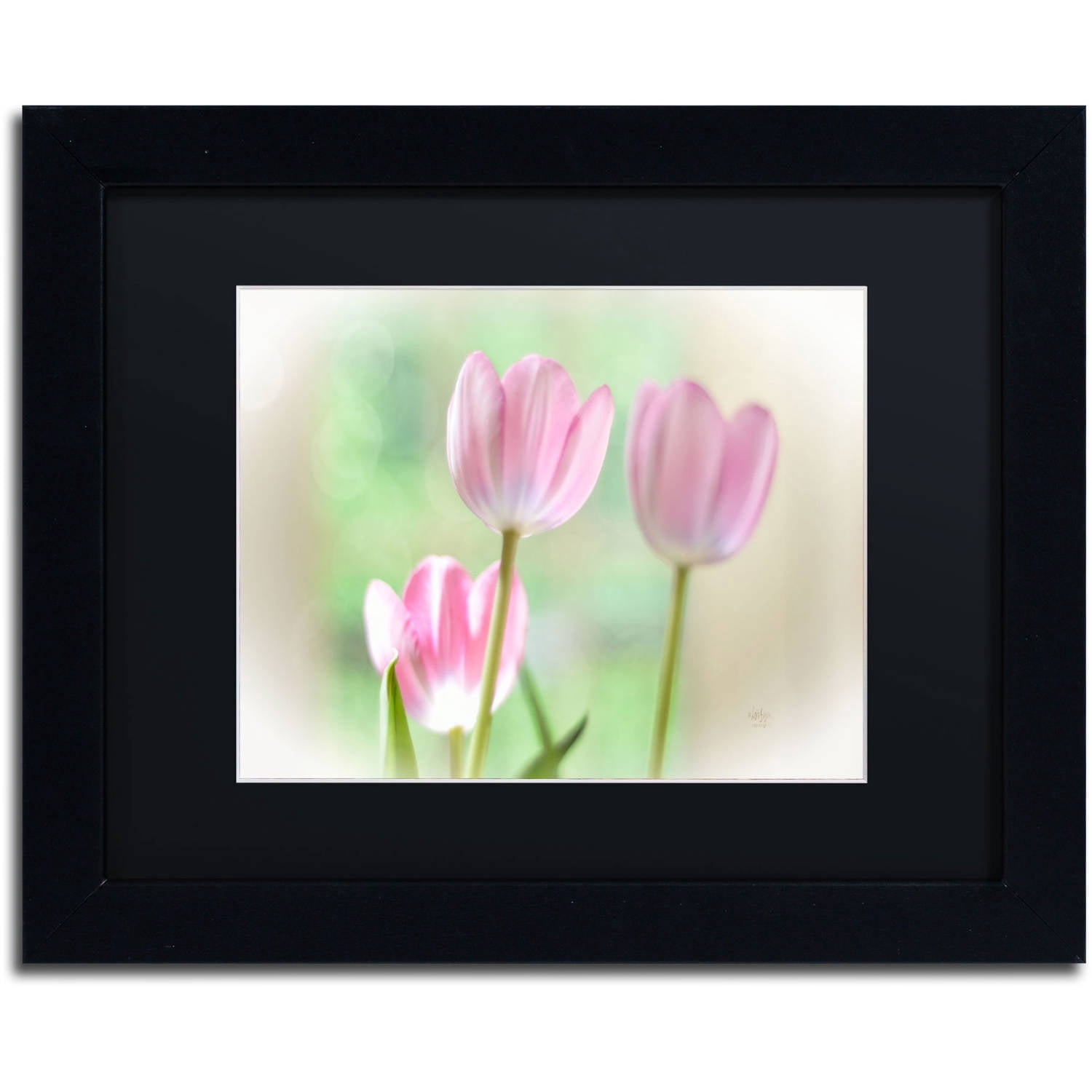 Trademark Fine Art "Three Pink Tulips" Canvas Art by Lois Bryan, Black Matte, Black Frame