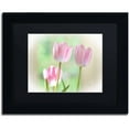 thumbnail image 1 of Trademark Fine Art "Three Pink Tulips" Canvas Art by Lois Bryan, Black Matte, Black Frame, 1 of 5