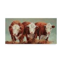 Trademark Fine Art 'Three of a Kind Cows' Canvas Art by Carolyne Hawley