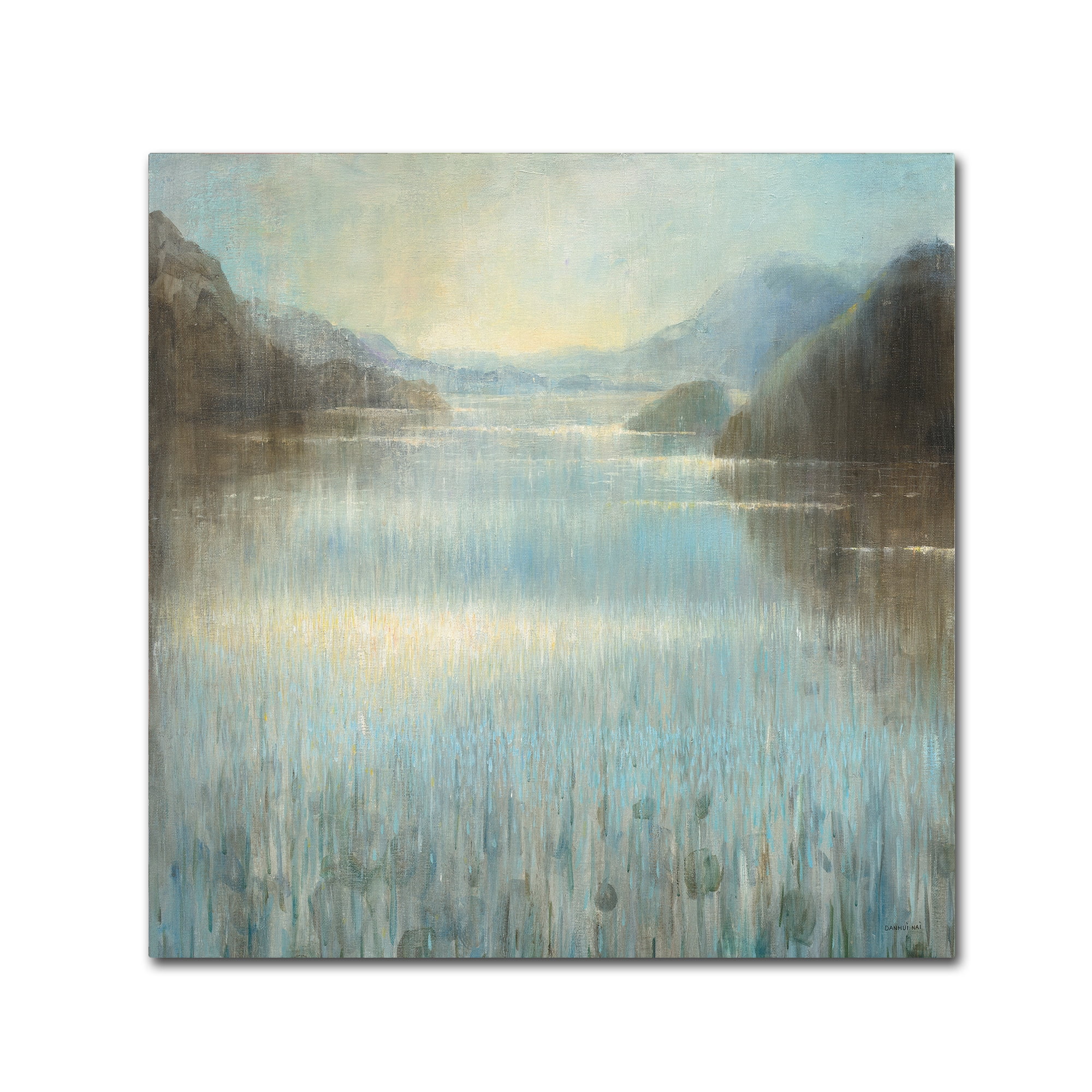 Trademark Fine Art "Through the Mist Square" Canvas Art by Danhui Nai