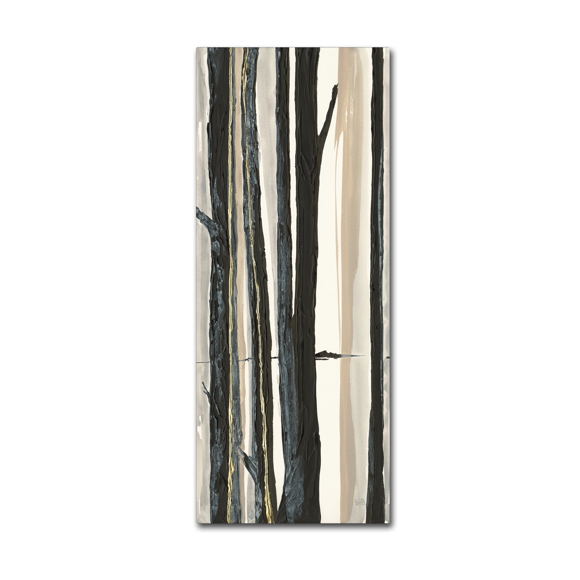 Trademark Fine Art 'Through the Trees I' Canvas Art by Chris Paschke