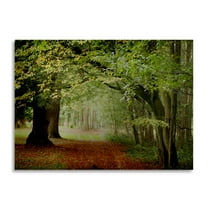 Trademark Fine Art 'Through the Woods' Brushed Aluminum Wall Art Art by Philippe Sainte-Laudy