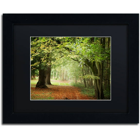 Trademark Fine Art "Through the Woods" Canvas Art by Philippe Sainte-Laudy Black Matte, Black Frame