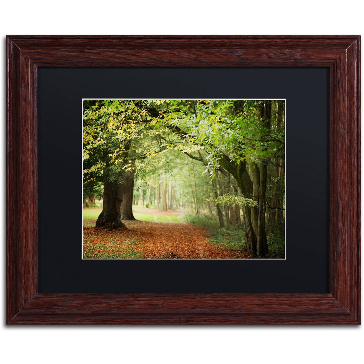 Trademark Fine Art "Through the Woods" Canvas Art by Philippe Sainte-Laudy Black Matte, Wood Frame