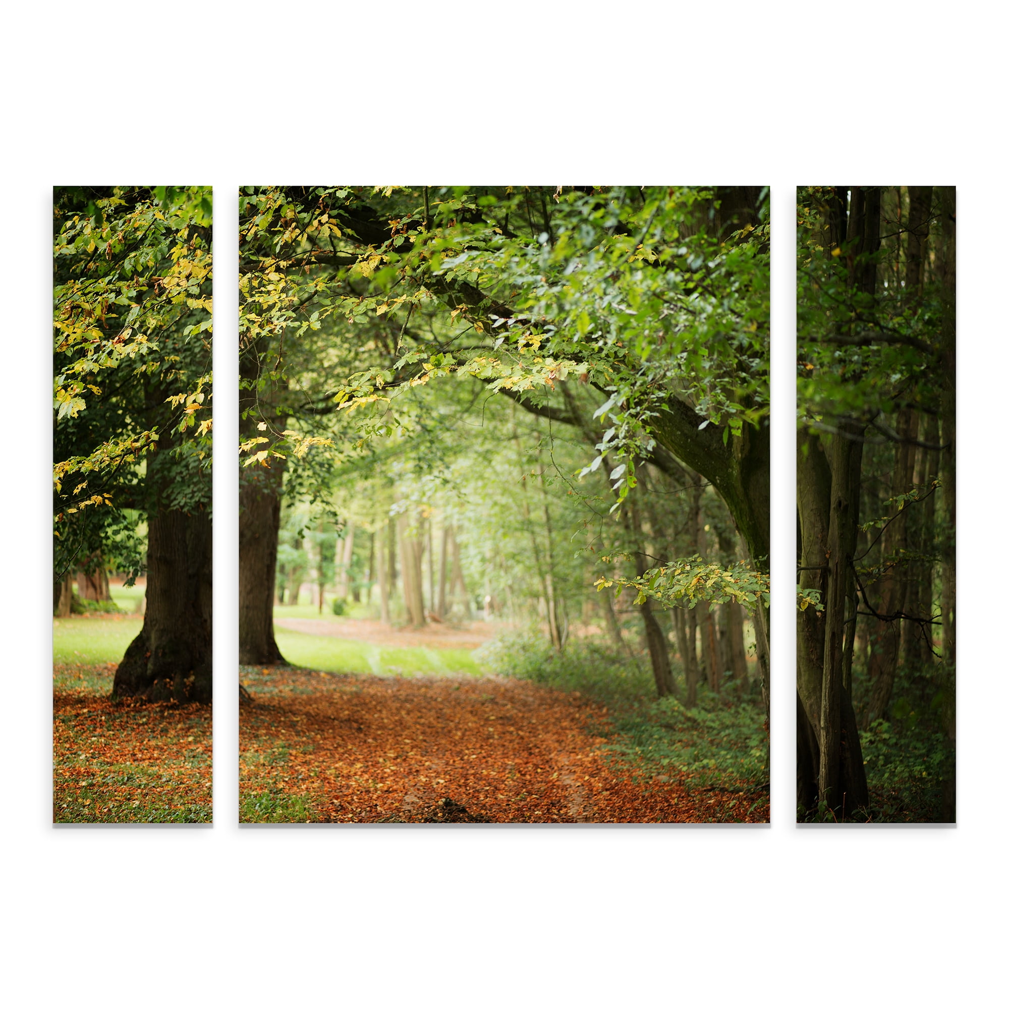 Trademark Fine Art 'Through the Woods' Canvas Art by Philippe Sainte-Laudy