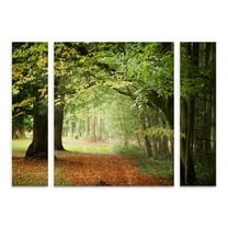 Trademark Fine Art 'Through the Woods' Canvas Art by Philippe Sainte-Laudy