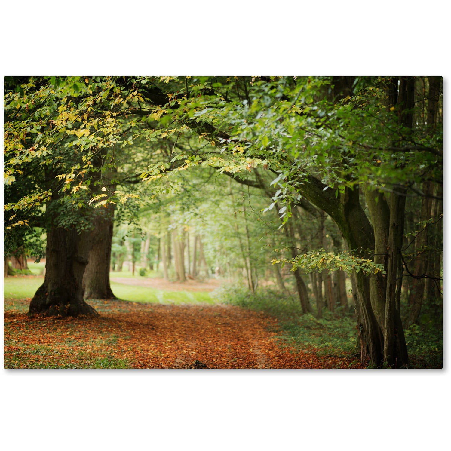 Trademark Fine Art "Through the Woods" Canvas Art by Philippe Sainte-Laudy
