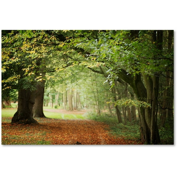 Trademark Fine Art "Through the Woods" Canvas Art by Philippe Sainte-Laudy