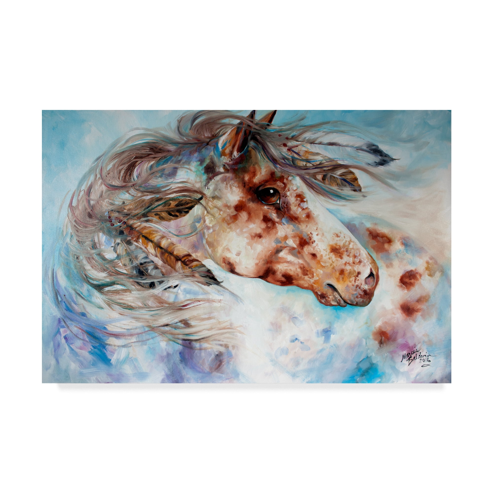 Thunder Appaloosa Indian War Horse Framed Canvas Art, 24 x 16