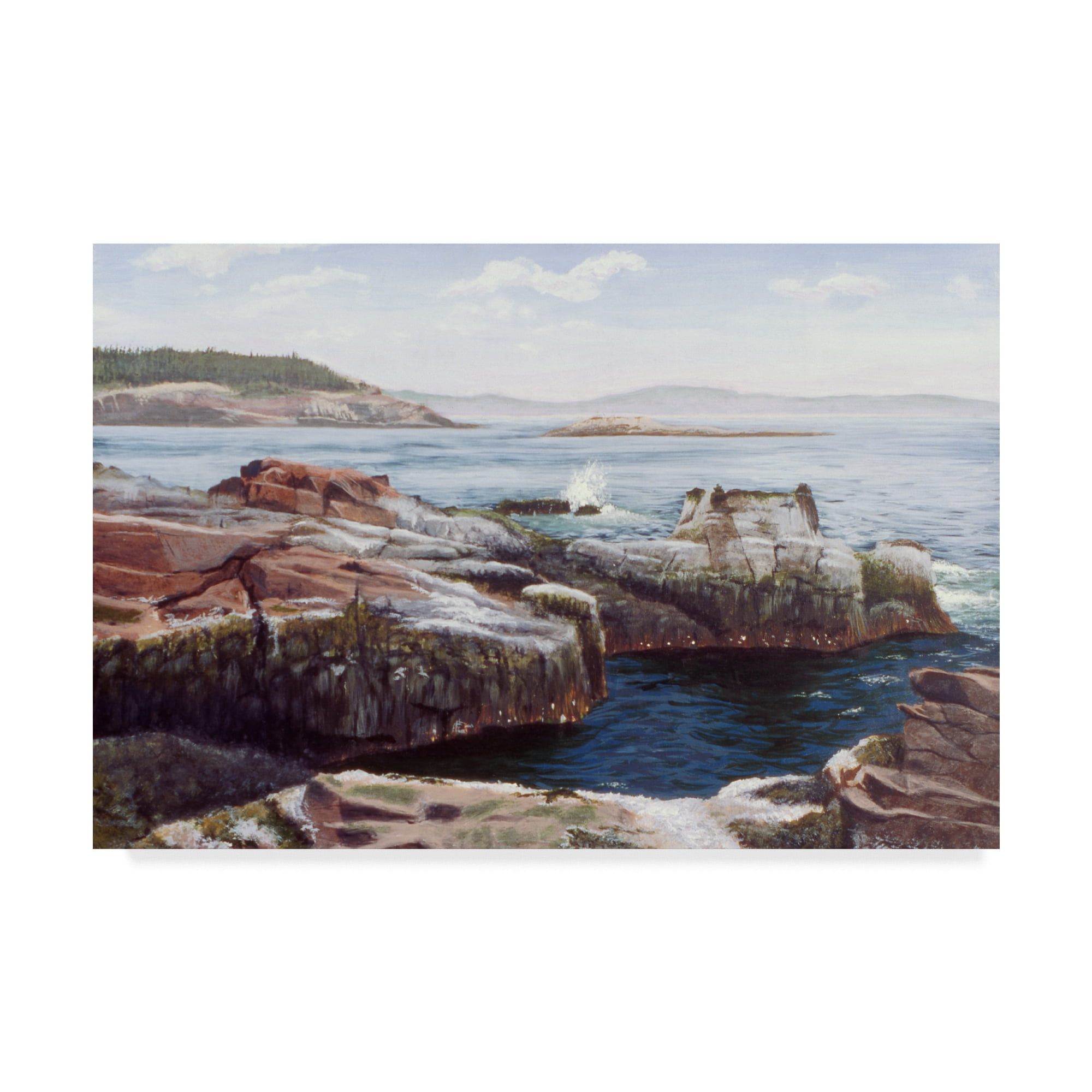 Trademark Fine Art 'Thunder Hole' Canvas Art by Rusty Frentner