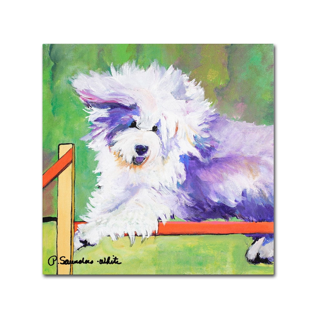 Trademark Fine Art "Tibetan Trials" Canvas Art by Pat Saunders-White