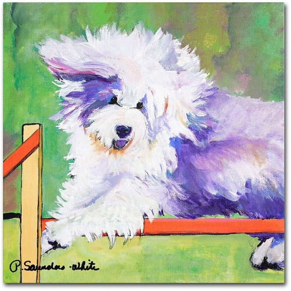 Trademark Fine Art "Tibetan Trials" Canvas Art by Pat Saunders-White