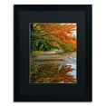 thumbnail image 1 of Trademark Fine Art "Tidal Basin Autumn 1" Canvas Art by CATeyes, Black Matte, Black Frame, 1 of 5