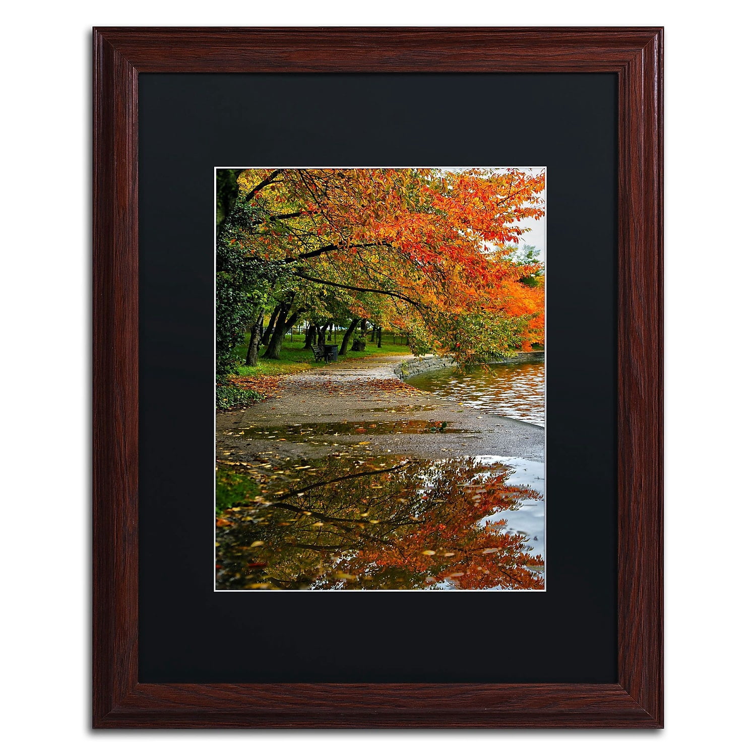 Trademark Fine Art "Tidal Basin Autumn 1" Canvas Art by CATeyes, Black Matte, Wood Frame