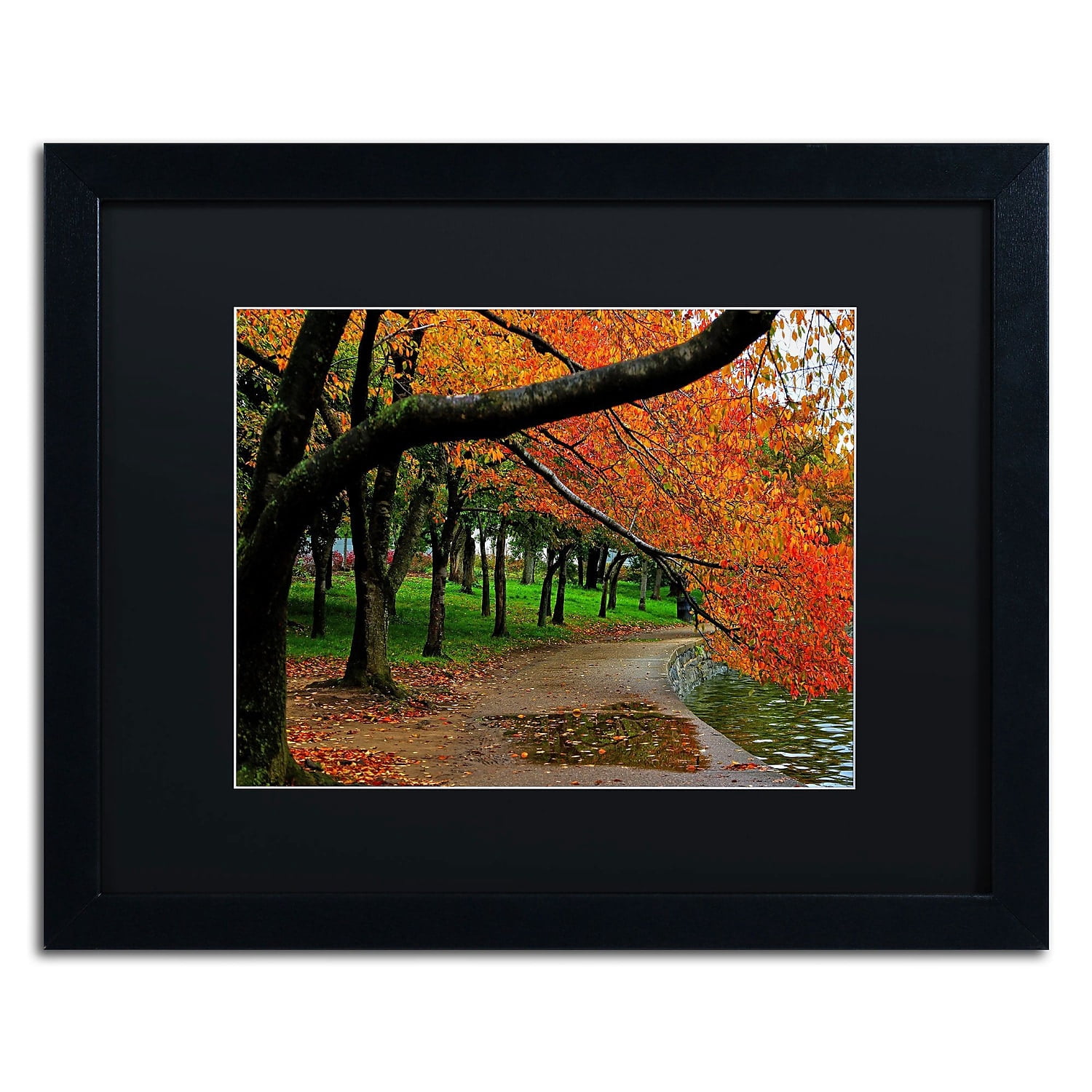 Trademark Fine Art "Tidal Basin Autumn 2" Canvas Art by CATeyes, Black Matte, Black Frame