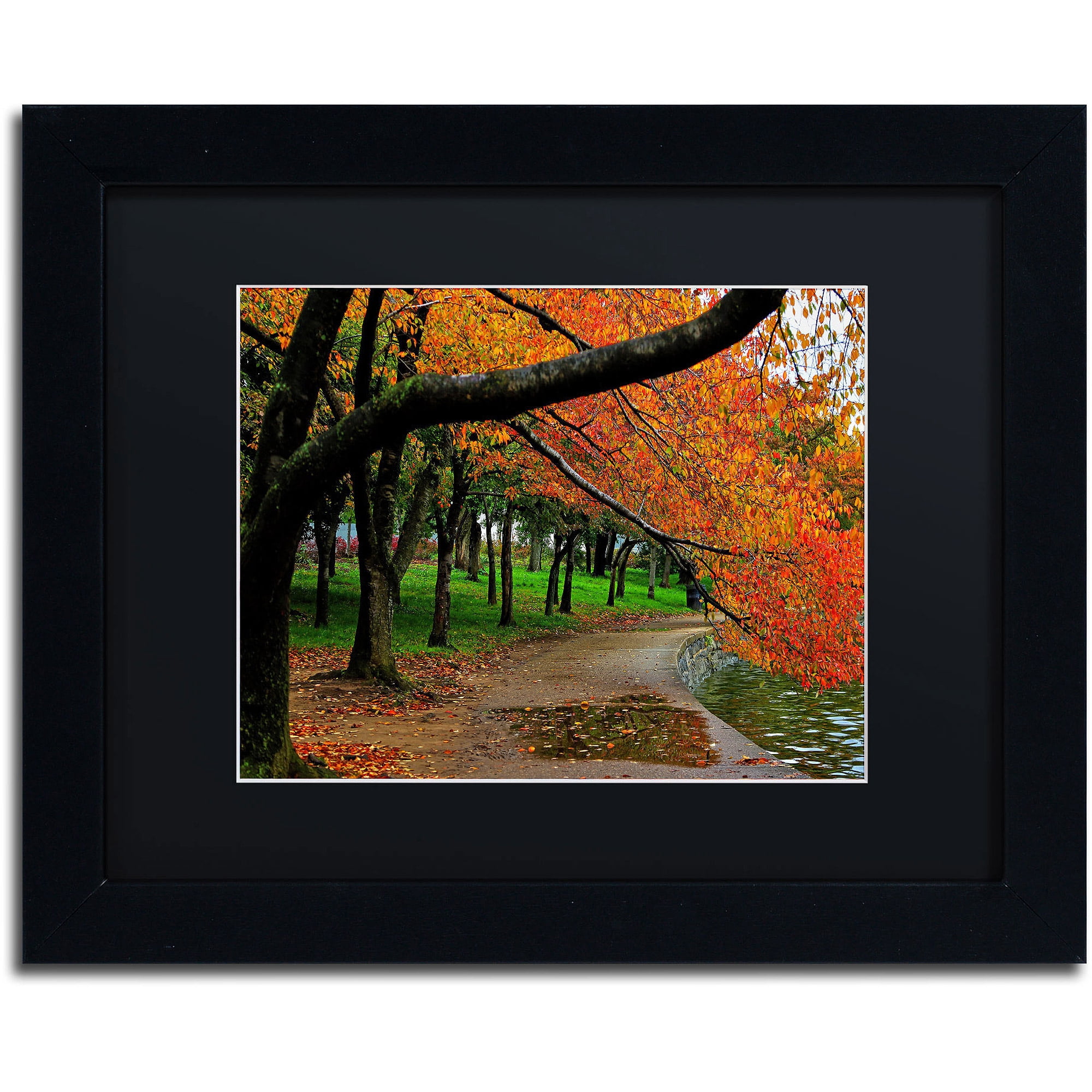 Trademark Fine Art "Tidal Basin Autumn 2" Canvas Art by CATeyes, Black Matte, Black Frame