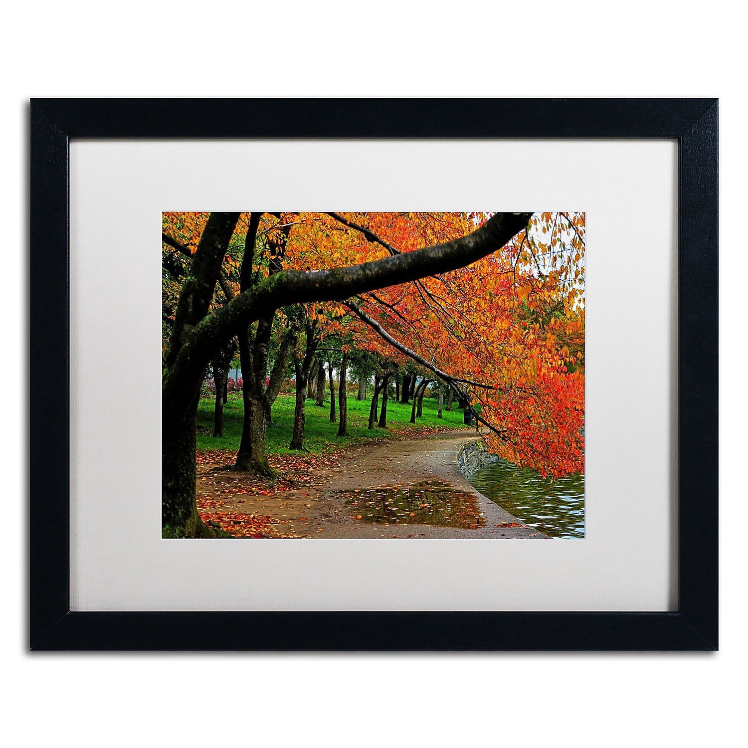 Trademark Fine Art "Tidal Basin Autumn 2" Canvas Art by CATeyes, White Matte, Black Frame