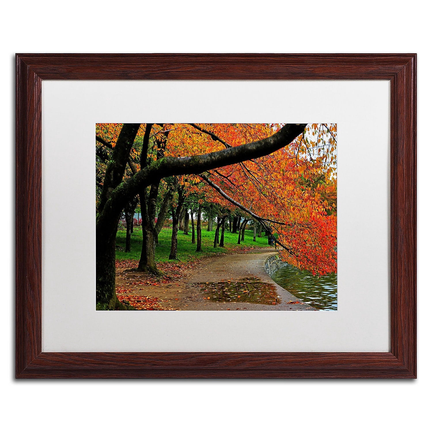 Trademark Fine Art "Tidal Basin Autumn 2" Canvas Art by CATeyes, White Matte, Wood Frame