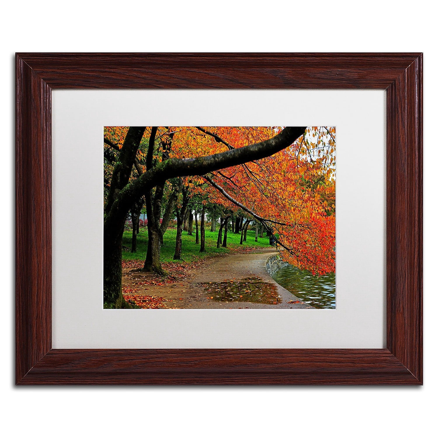 Trademark Fine Art "Tidal Basin Autumn 2" Canvas Art by CATeyes, White Matte, Wood Frame