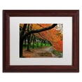 thumbnail image 1 of Trademark Fine Art "Tidal Basin Autumn 2" Canvas Art by CATeyes, White Matte, Wood Frame, 1 of 4