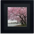 thumbnail image 1 of Trademark Fine Art "Tidal Basin Blossoms" Canvas Art by CATeyes, Black Matte, Black Frame, 1 of 1