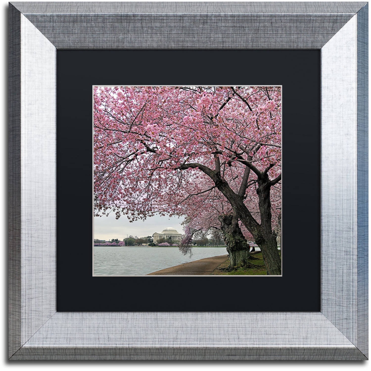 Trademark Fine Art "Tidal Basin Blossoms" Canvas Art by CATeyes, Black Matte, Silver Frame