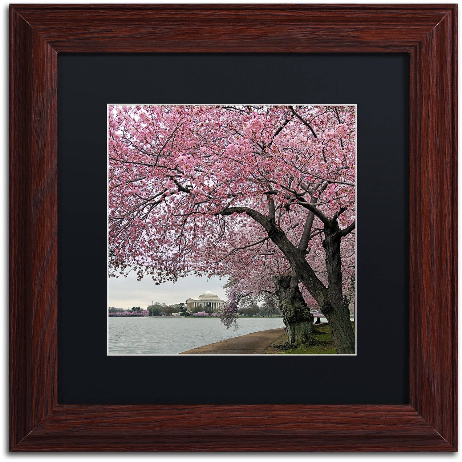 Trademark Fine Art "Tidal Basin Blossoms" Canvas Art by CATeyes, Black Matte, Wood Frame